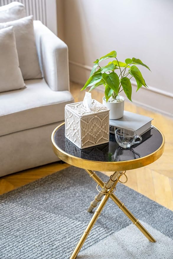 A macrame tissue cover on a coffee table with a plant on it, adding elegance and a touch of nature to the room's decor.